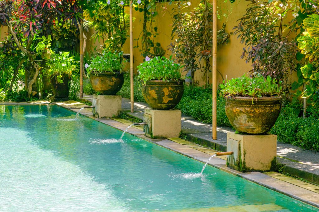 2.2.1.2. Main Pool-Day Setup